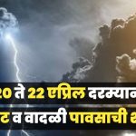 राज्यात ढगाळ हवामान, मेघगर्जनेसह वादळी पाऊस, कृषी विभागाचा शेतकऱ्यांना सतर्कता इशारा!