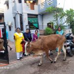 बुरहानपूर: पशुओं के लिए पानी की हौज की व्यवस्था,सामाजिक पहल