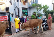 बुरहानपूर: पशुओं के लिए पानी की हौज की व्यवस्था,सामाजिक पहल