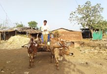 ग्रामीण बैलगाड़ी मोटरसाइकिल से पानी लाने पर मजबूर