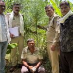 केले के व्यापारी बनकर पहुंचे पुलिसकर्मी,खेत में उग रहा था गांजा