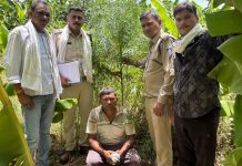 केले के व्यापारी बनकर पहुंचे पुलिसकर्मी,खेत में उग रहा था गांजा