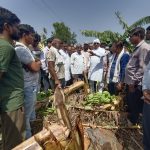 सीएम से मुलाकात के अगले दिन खेतों में पहुंचे सांसद-नेपानगर विधायक, किसानों को दिलाया राहत का भरोसा