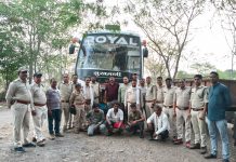वन विभाग ने बड़ी कार्रवाई