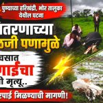 महावितरणाच्या निष्काळजी पणामुळे दोन दिवसात दोन गाईंचा अपघाती मृत्यू, भोर तालुक्यातील घटना!